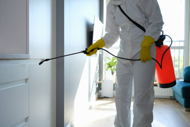 Best Professional Mold Removal  in The Hills, TX